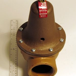 Relief Valve 2" X 2 1/2" 30 PSI 5250000 BTU 0384042