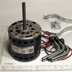 230v 3/4 HP Blower Motor