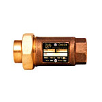 Dual Check Backflow Preventer 3/8" Ips