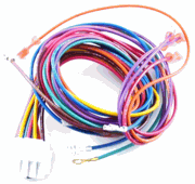 Assy Wire Harness 12-pin (df)