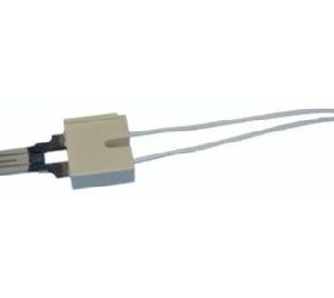 Ignitor With Plug