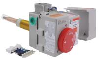 Gas Control (Thermostat) - LP