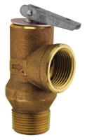 Temperature And Pressure Relief Valve (T&P)