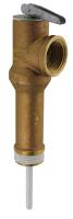 Temperature and Pressure Relief Valve (t&p)