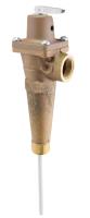 Temperature and Pressure Relief Valve (t&p)