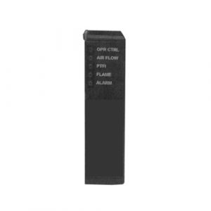 Programmer Relight Function allow flame signal during Off cycle.
