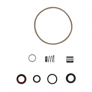 Shaft Seal & Gasket Kit For SPK 1/2/4/8 All CVBV (FKM)