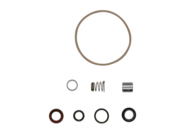 Shaft Seal & Gasket Kit For SPK 1/2/4/8 All CVBV (FKM)