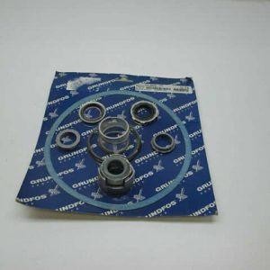Shaft Seal & Gask Kit CR30/60