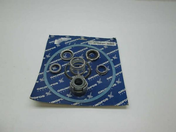 Shaft Seal & Gask Kit CR30/60
