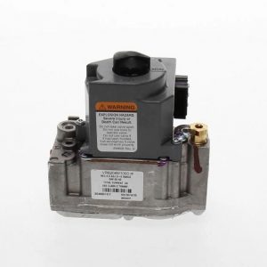 Cmb Nt Gas Vlv VR8204M1000 AG2