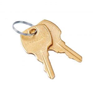 Set Of 2 Replacement Keys For TG509 TG510 TG511 And TG512 Guards TG Key