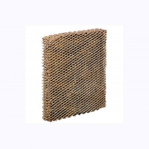 Agion Antimicrobial Replacement Pad. Fits HE225 HE220 HE100 HE150 & HE240 Aprila
