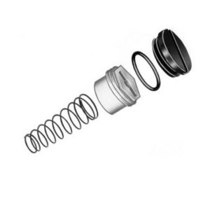 Kit-valve Spring Lp same as 393691