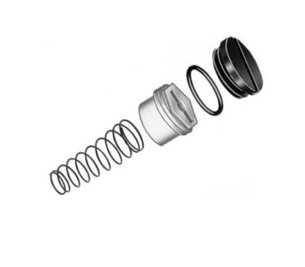 Kit-valve Spring Lp same as 393691