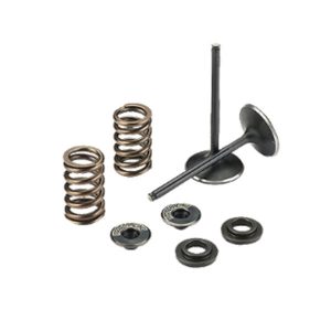 Gas Valve Adapter Kit Consisting Of 2 Wires Fittings & Installers Guide Use With