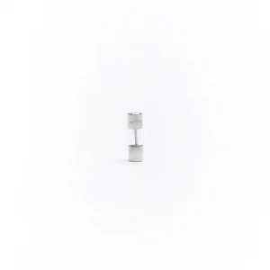 Slow blow fuse - 2 amps (for SCB & ACB2 boards)